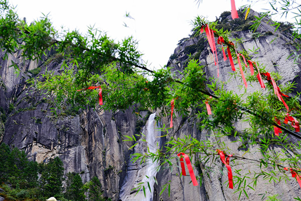 情缘藏地，原野探秘，拉萨，巴松措，新措徒步，鲁朗林海田园风光，雅鲁藏布大峡谷，纳木措环湖，圣象天门，三生石，月牙湾8晚9日游
