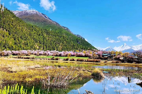 拉萨旅行报价