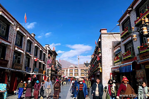 去拉萨旅游费用