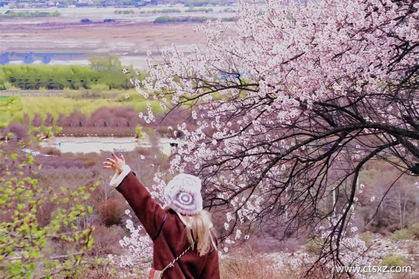 西藏林芝旅游团报价
