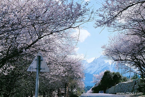 林芝报团旅游